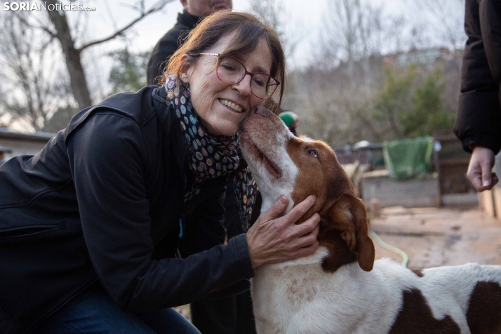 Redención Soria, adopción de perros y gatos en Soria. Refugio de animales